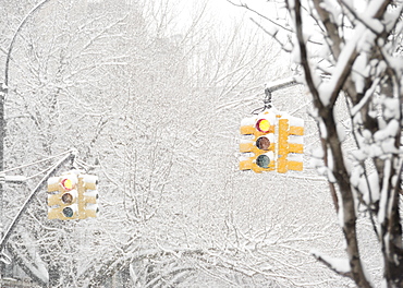USA, New York State, Brooklyn, Williamsburg, street lights and snow covered trees