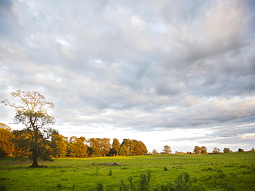 Ireland, County Westmeath, landscape