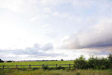 Ireland, County Westmeath, landscape with pasture