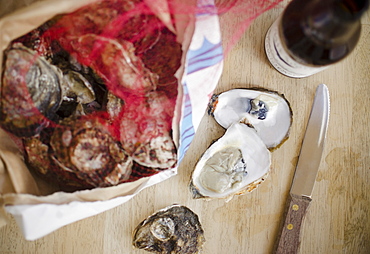 Raw oysters