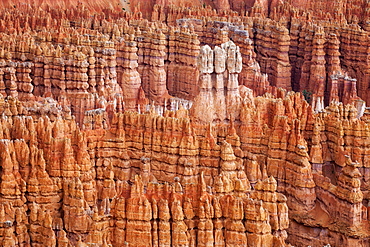 Sandstone formations, Bryce Canyon National Park, Utah