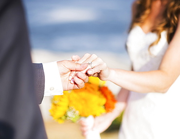 Close up of bride and groom holding hands