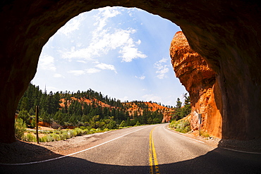 Road going under natural tunnel, USA, Utah, Bryce Canyon