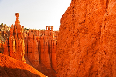 Bryce Canyon National Park, Bryce Canyon National Park, Utah, USA