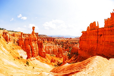 Bryce Canyon National Park, Bryce Canyon National Park, Utah, USA