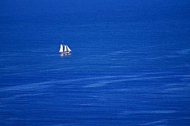 Sailboat in ocean