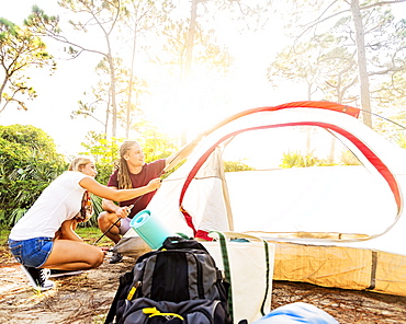 Couple setting up tent in forest, Tequesta, Florida