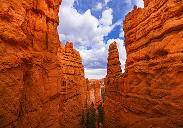 View of cliffs, Bryce Canyon, Utah