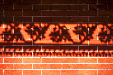 Shadow of railing on brick wall, USA, Louisiana, New Orleans