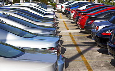 Rows of new cars on lot