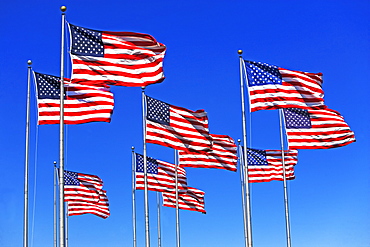 American flags