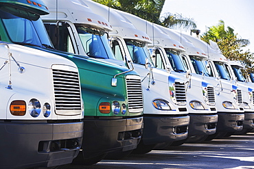 trucks in a row