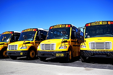 school buses in a row