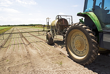 Tractor spraying field, Florida, United States