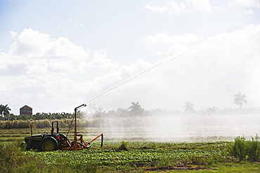 Tractor watering field, Florida, United States