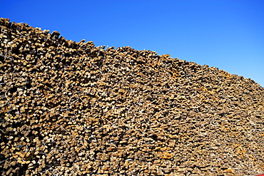 Stack of wood stakes