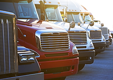 Semi-trucks in a row