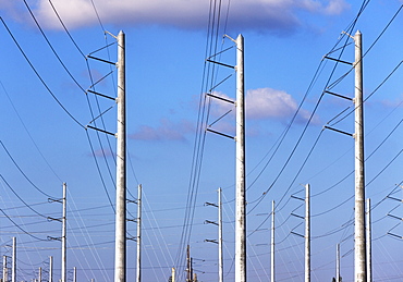 Communication tower and power lines