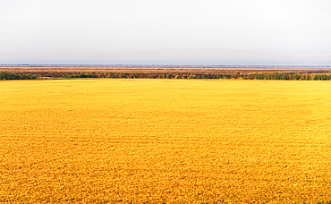 Rural landscape