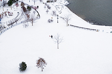 Park in winter