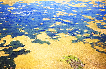 Aerial view of marsh