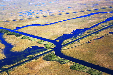 Aerial view of marsh