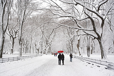 People walking in Central Park in winter