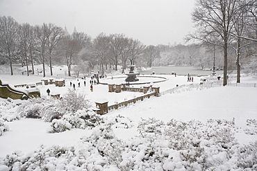 Central Park in winter