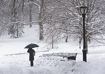 Person walking in snowy park