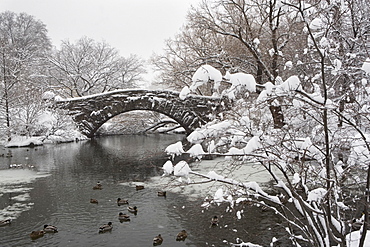 Lake and bridge in winter