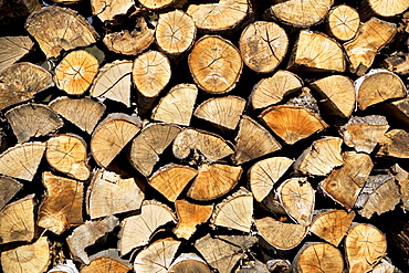 USA, Vermont, stack of firewood