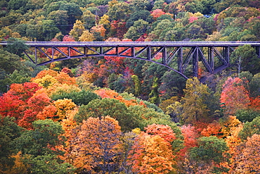 USA, New York, Bear Mountain, bridge in forest