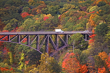 USA, New York, Bear Mountain, bridge in forest