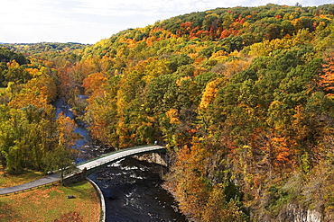 USA, New York, Croton, bridge in forest