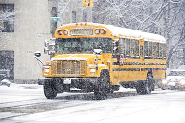 USA, New York City, school bus in blizzard