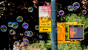 Road sign with soap bubbles, New York City, New York