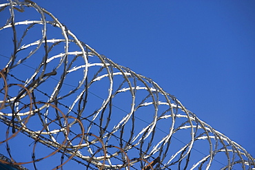 close-up of barbed wire