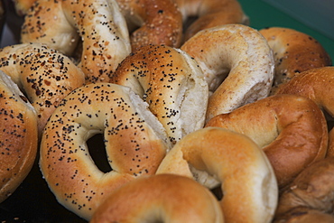 Close-up of bagels, USA, New York City