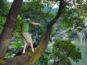 Man walking out on large tree branch