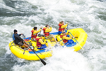 Group whitewater rafting