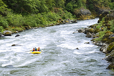 Group whitewater rafting