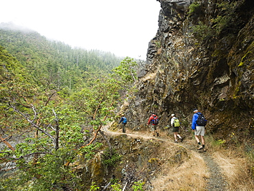 Group of hikers hiking on trail