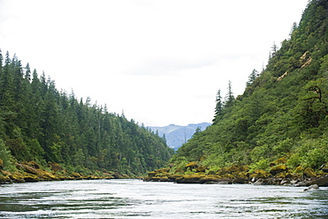 River running through forested canyon