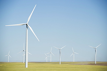 Windmills on wind farm