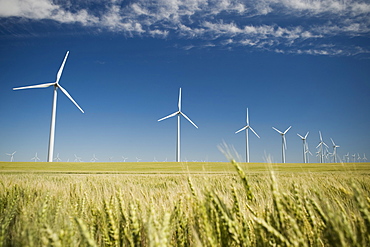 Windmills in a row on wind farm