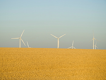 Row of windmills on wind farm