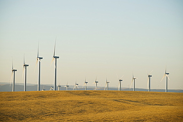 Rows of windmills on wind farm