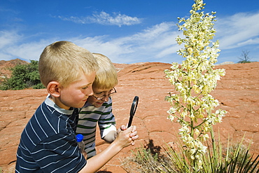 Two young boys at Red Rock