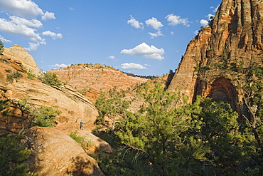 A person in the distance at Red Rock