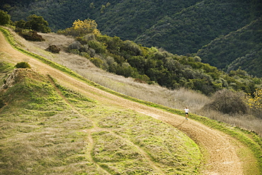 Person running on trail